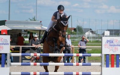 Reitturnier in Dettingen 29.-30. Juni 2019