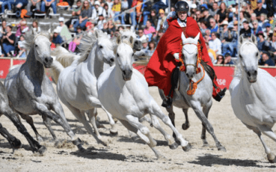 Marbach begeistert den RV Sontheim