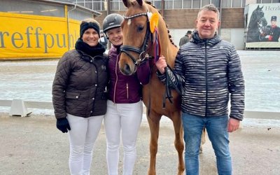 Winterkörung 2026 des Pferdezuchtverbandes Baden-Württemberg